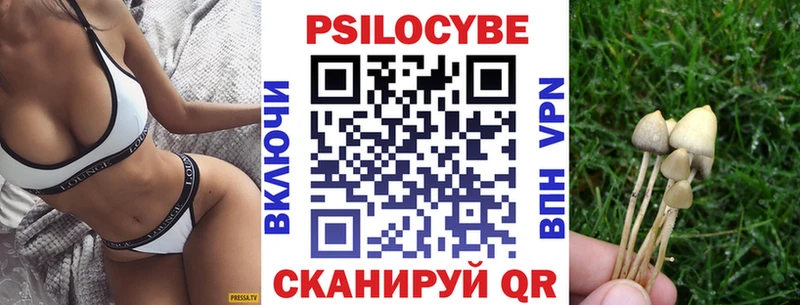 Псилоцибиновые грибы мицелий  закладка  Волосово 
